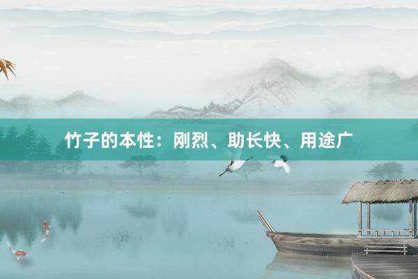 竹子的本性：刚烈、助长快、用途广